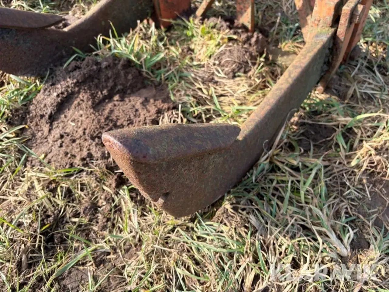 Billede 2 - Grubber / kultivator