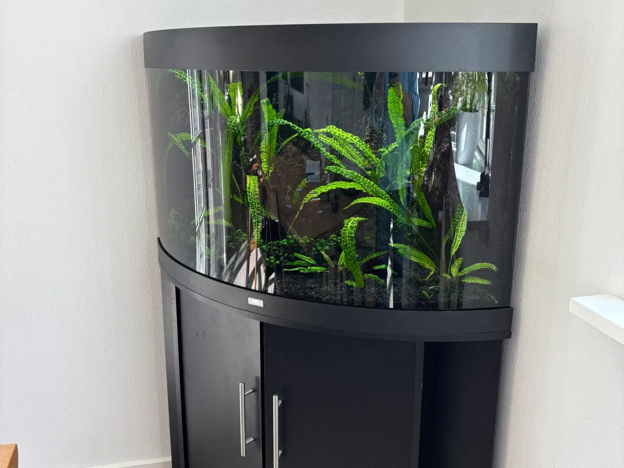 Billede 1 - Juwel 90 liters hjørneakvarie