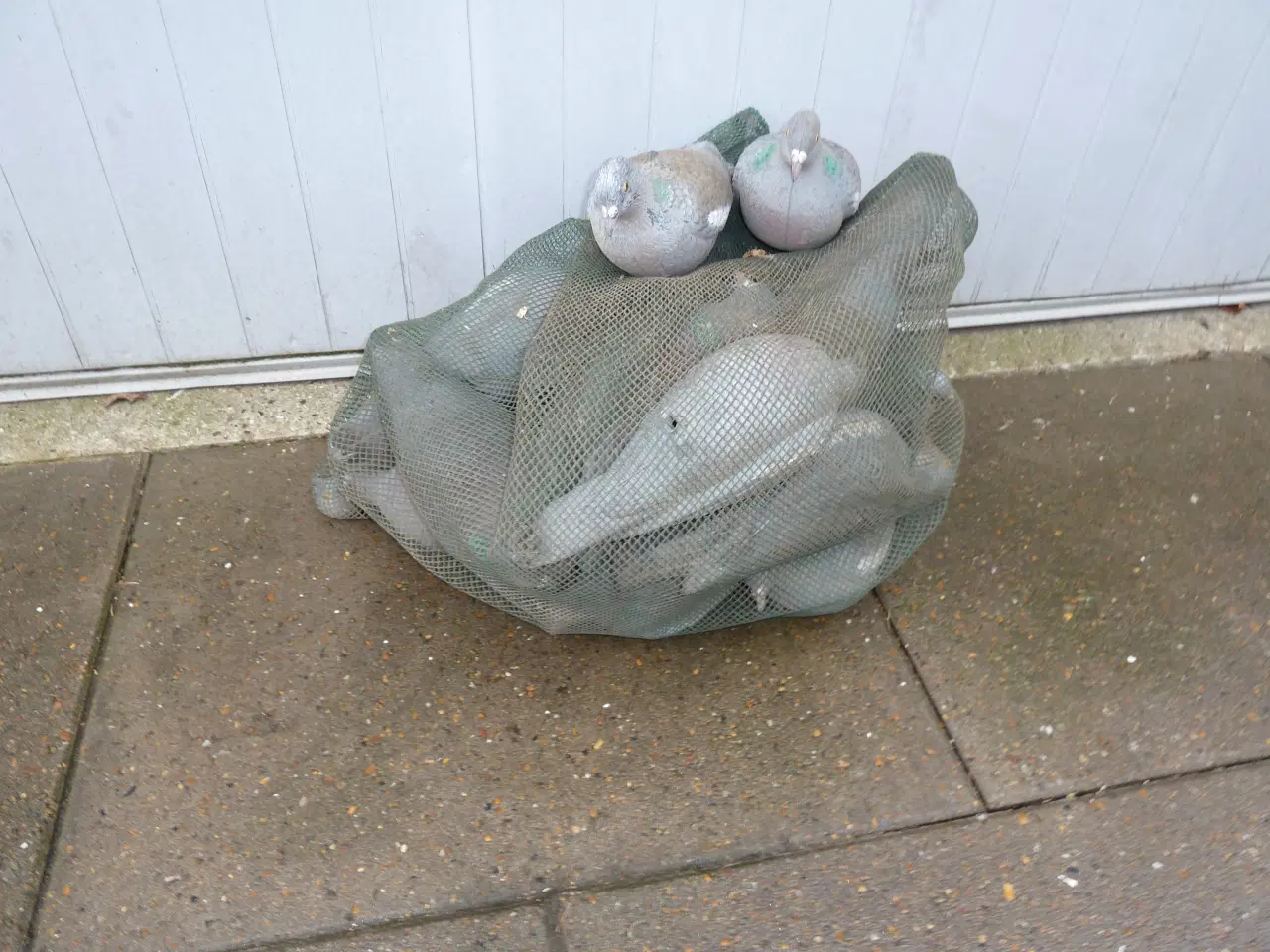 Billede 1 - LOKKEDUER