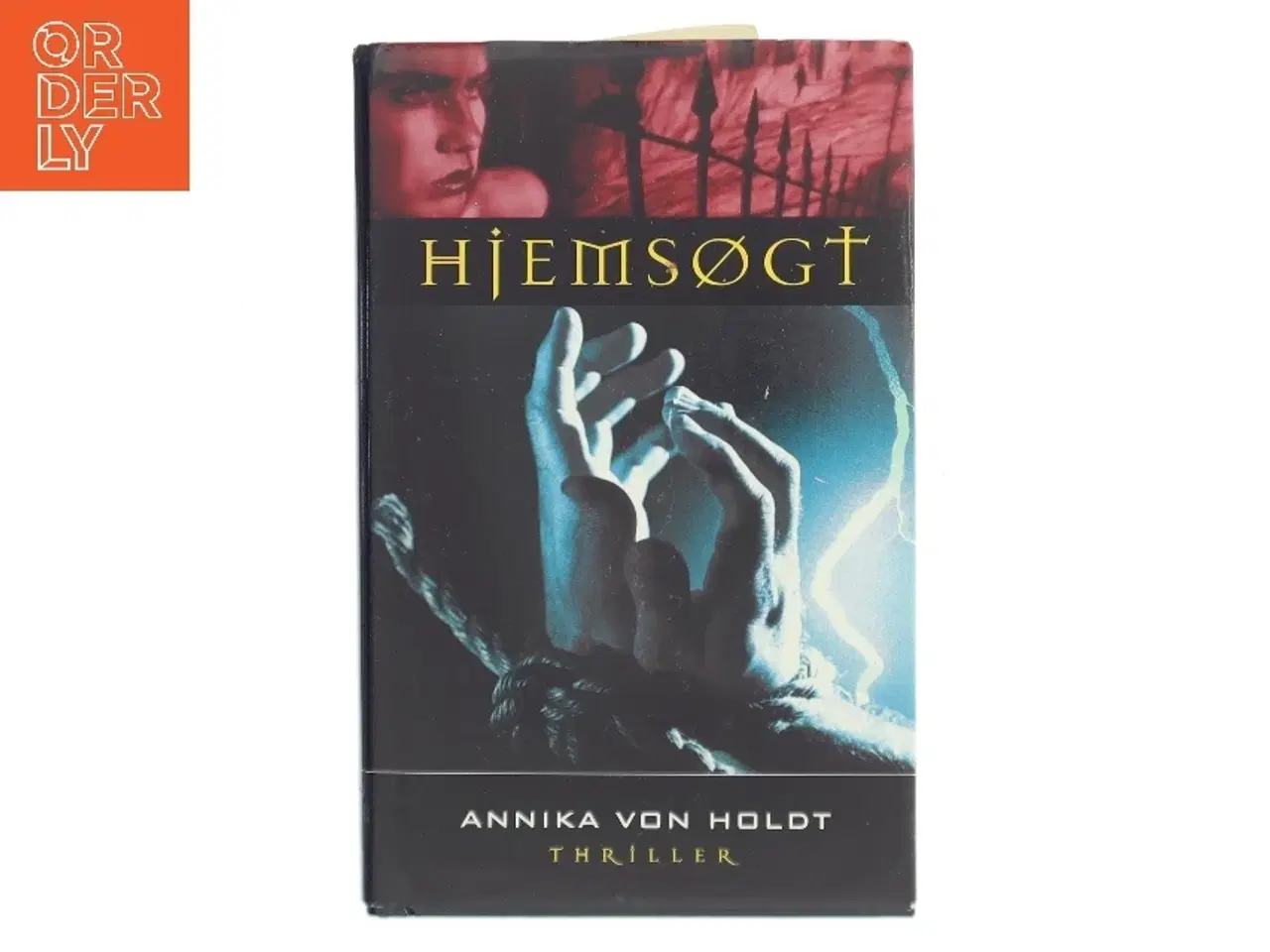 Billede 1 - Hjemsøgt af Annika von Holdt (Bog)