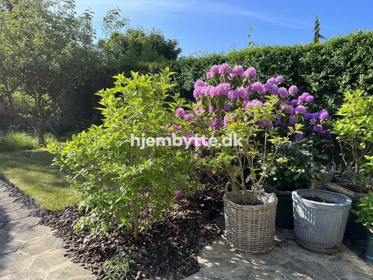 Billede 11 - Hjembytte - Bloustrødvej