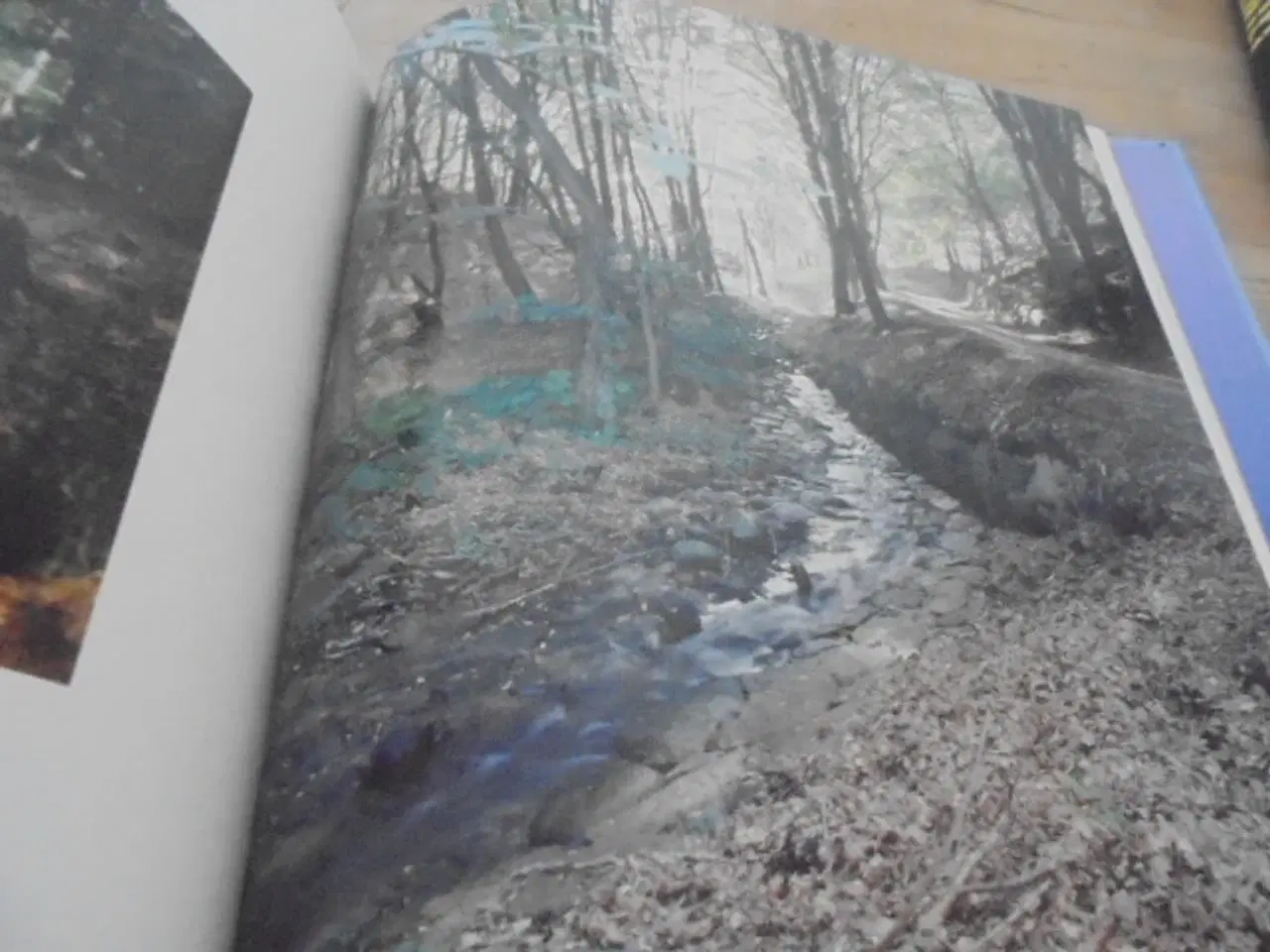 Billede 8 - Frederikshavn mellem hav, skov og bakker