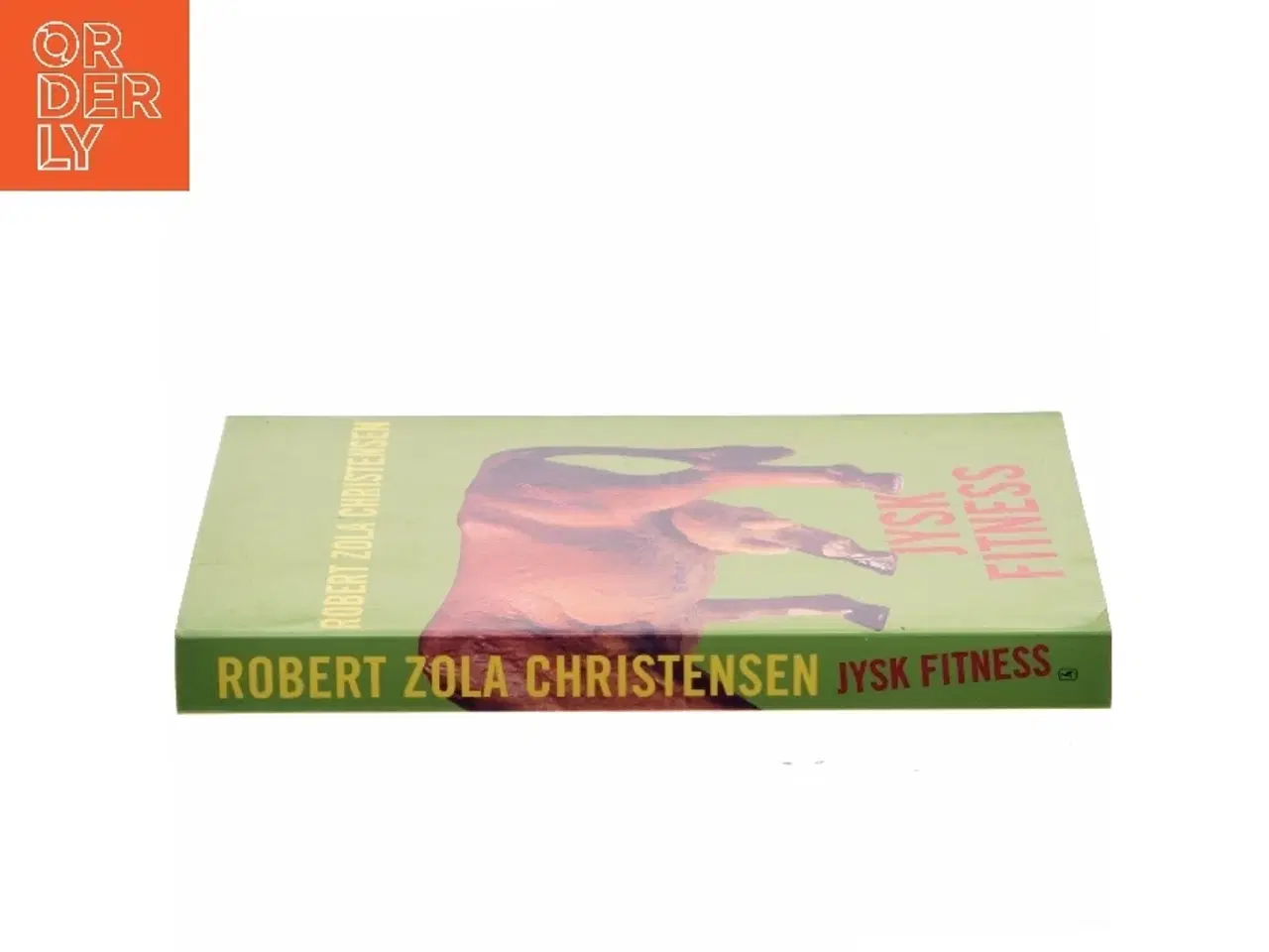Billede 2 - Jysk Fitness : roman af Robert Zola Christensen (Bog)