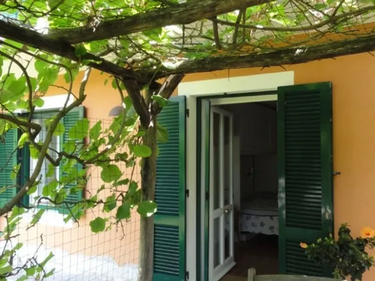 Billede 2 - Ligurien, Camogli. Tæt ved strand og et stenkast fra natur reservatet ved Portofino i den lille fiskby