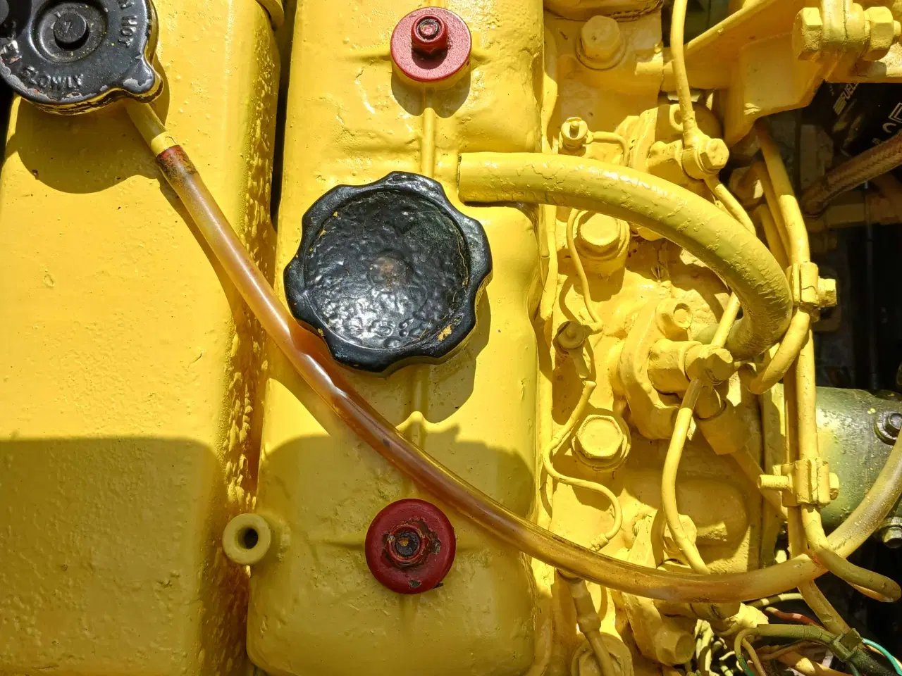 Billede 6 - 19 fod damjolle