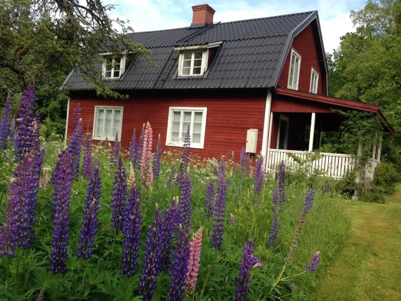 Billede 2 - Idyllisk sommertorp i Blekinge