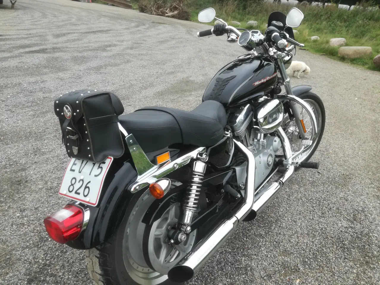 Billede 6 - Harley Davidson XL 883 C Sportster Custom 2005