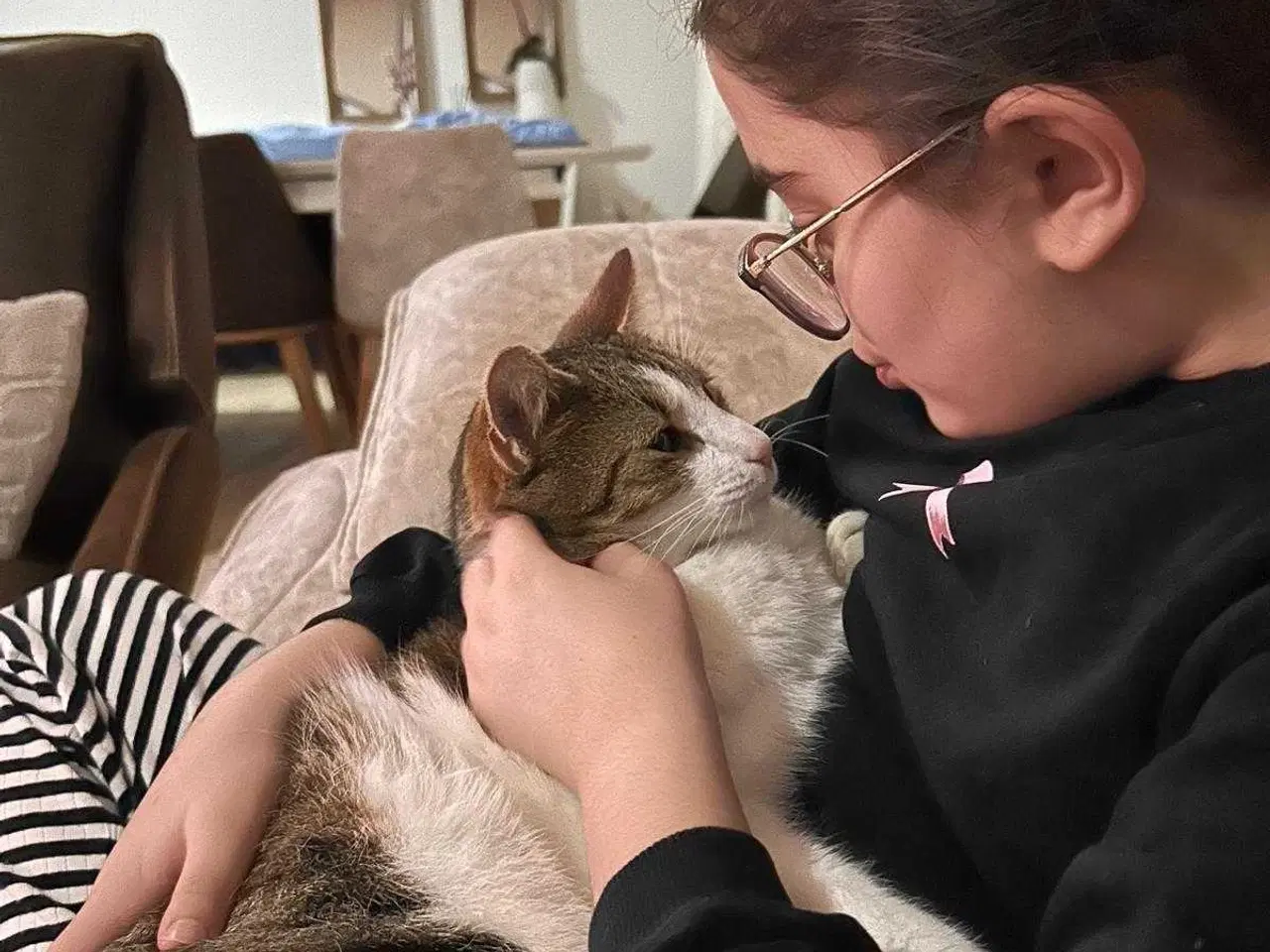 Billede 3 - 💔 HASTER – Vores elskede Amigo søger nyt hjem 💔