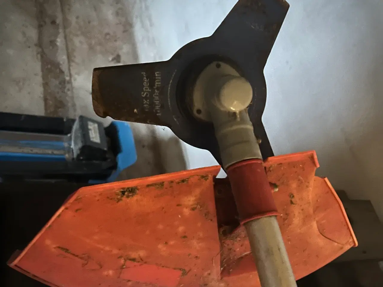 Billede 6 - Kantklipper bruskryder 