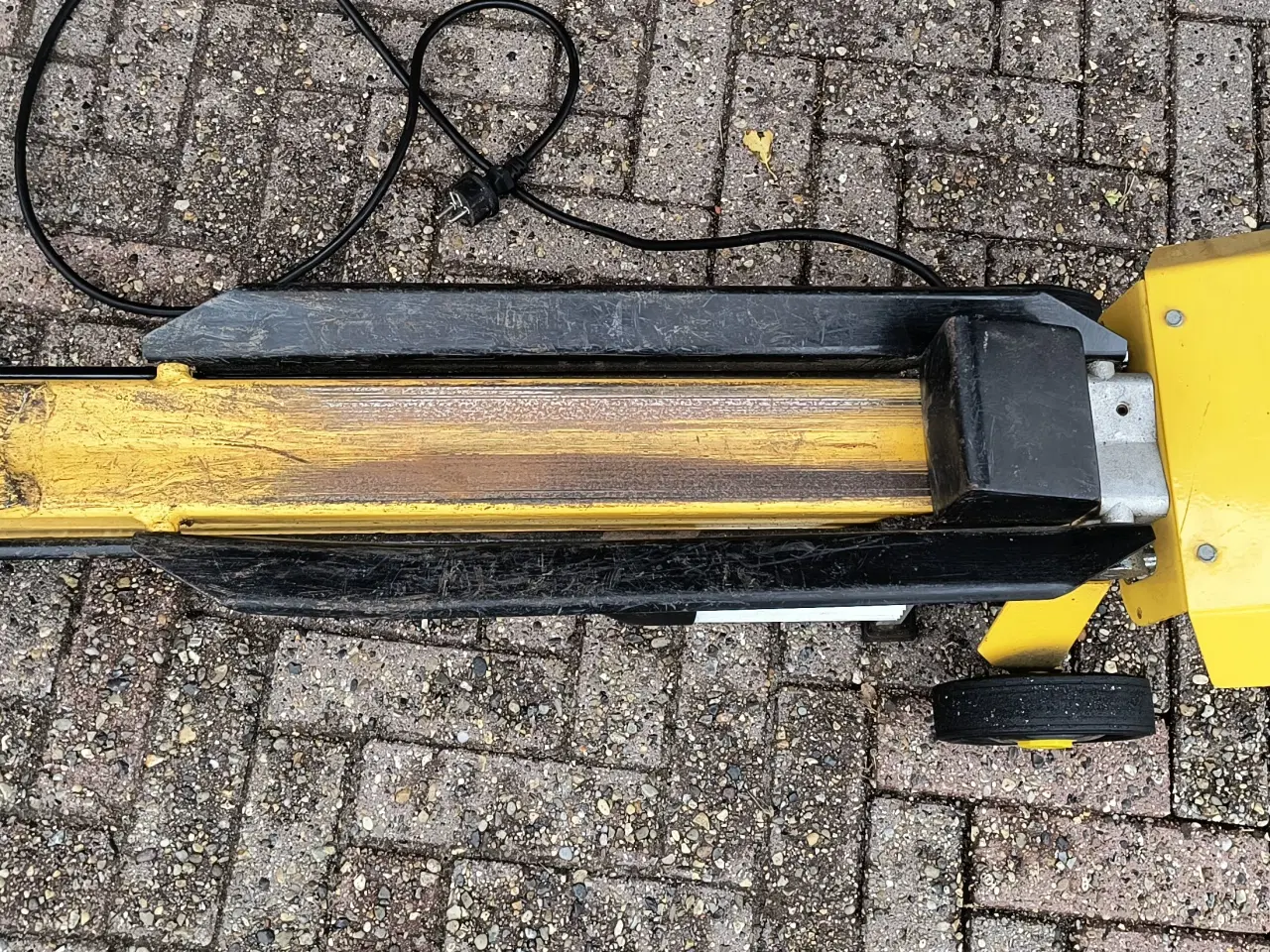 Billede 6 - Brændekløver.