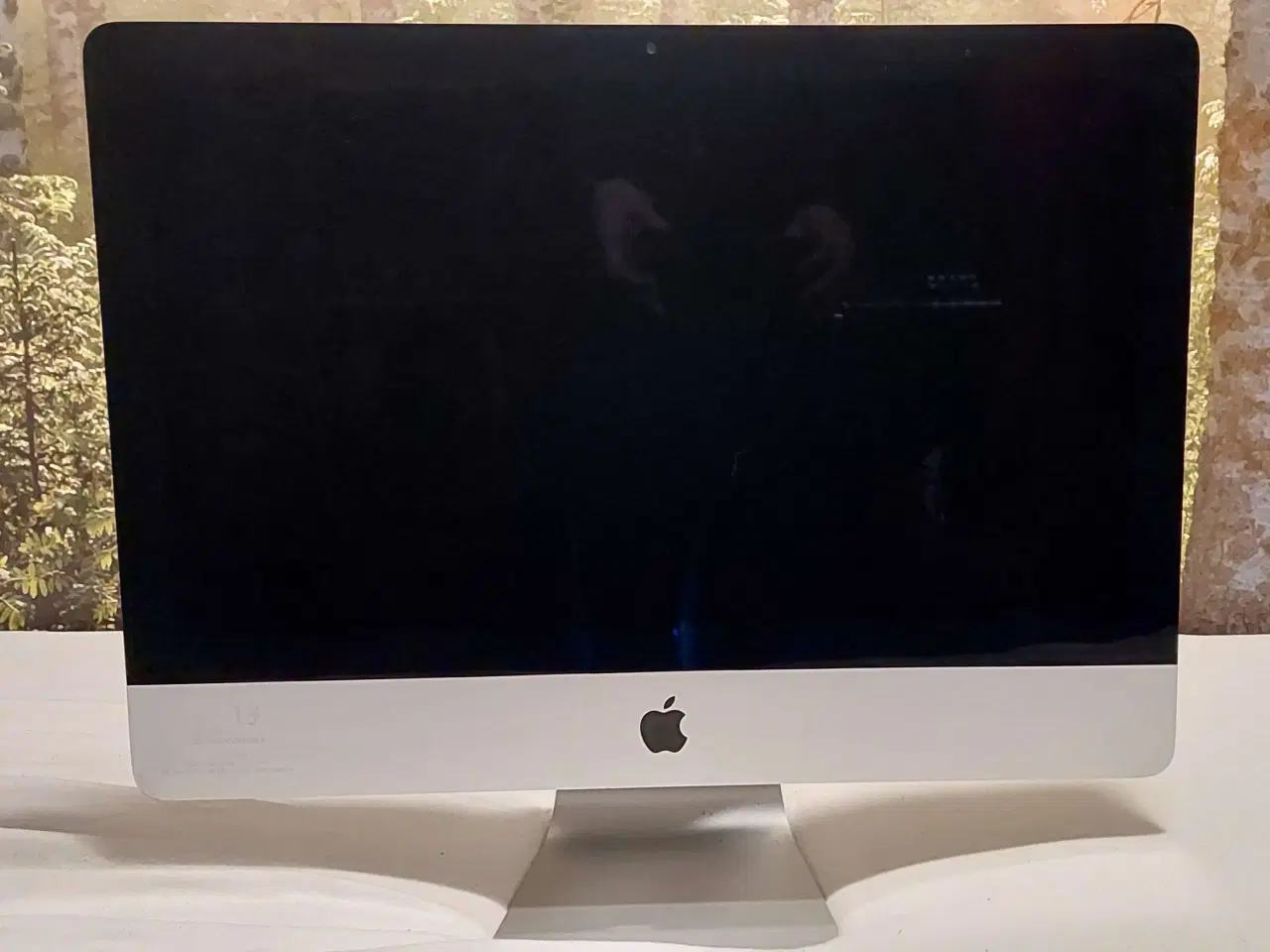 Billede 1 - 21,5" iMac fra 2012
