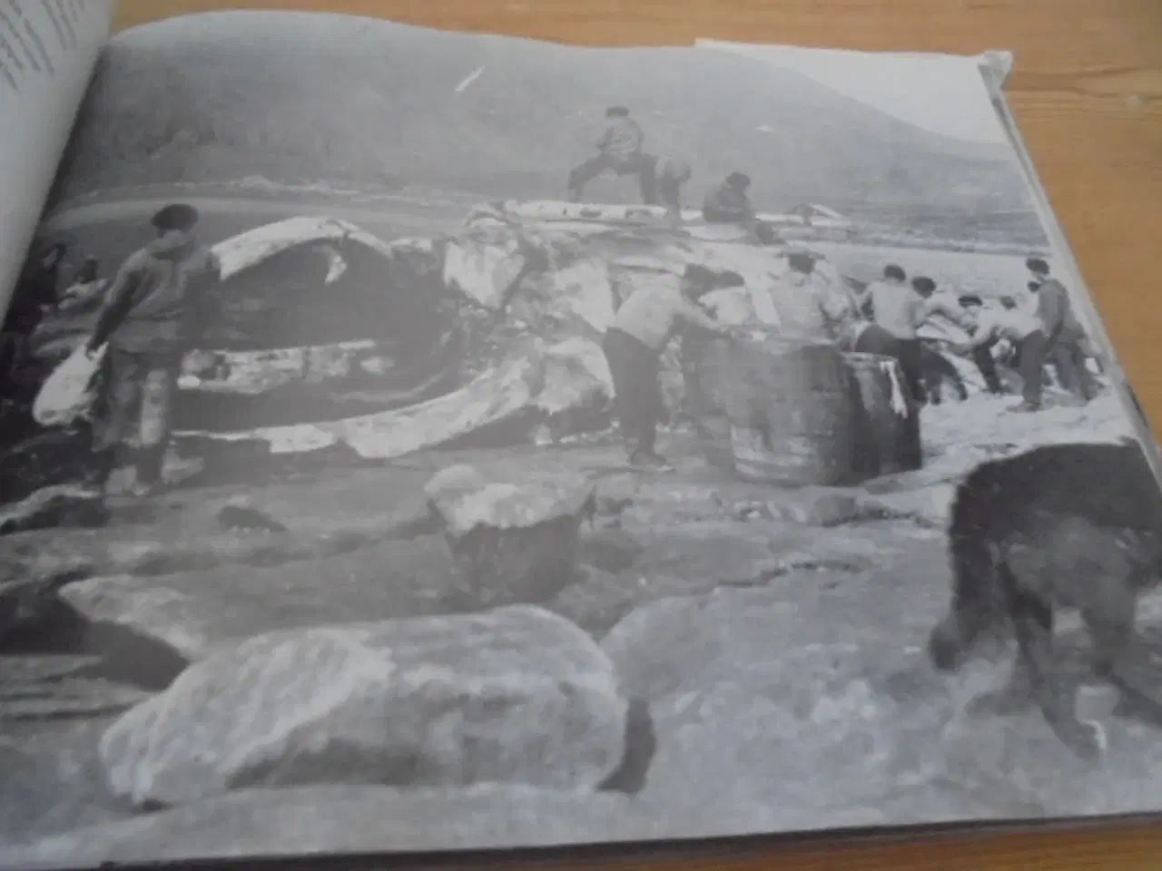 Billede 9 - Keld Hansen - Grønlandsbilleder 1860-1920