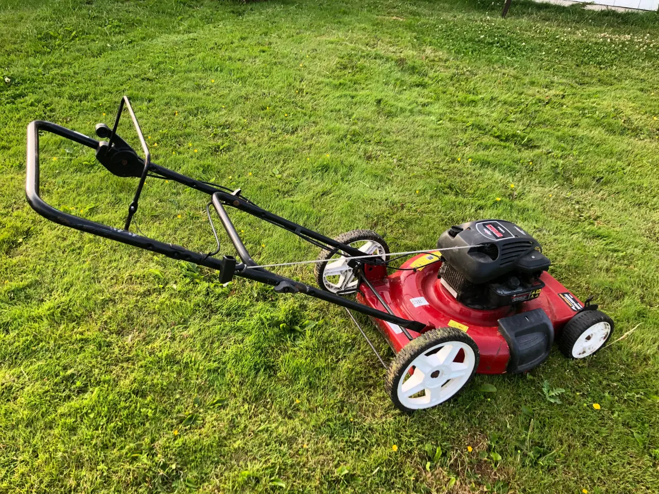 Billede 2 - Rotorklipper, 56 cm bioklip, selvkørende
