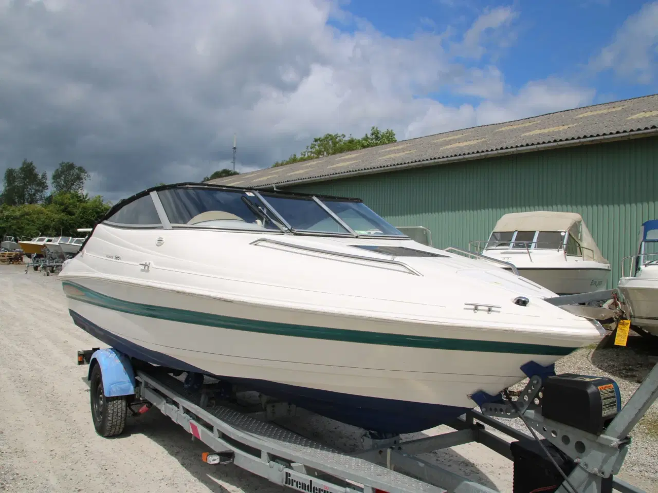 Billede 2 - Campion 565 SC Allante