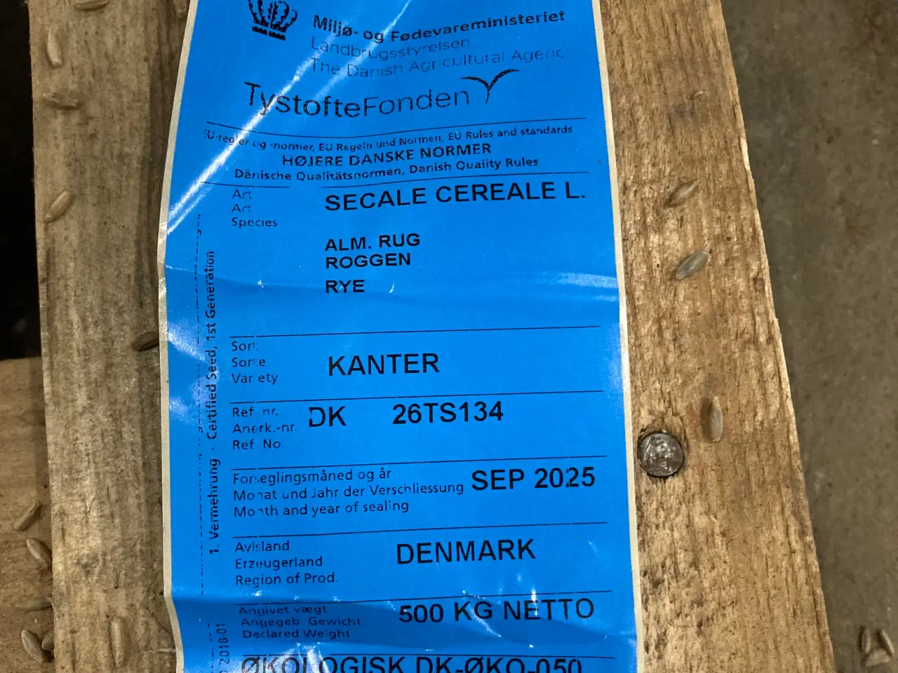 Billede 2 - Øko Vinter rug såsæd