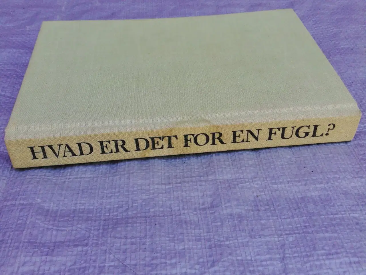 Billede 1 - Hvad er det for en fugl?