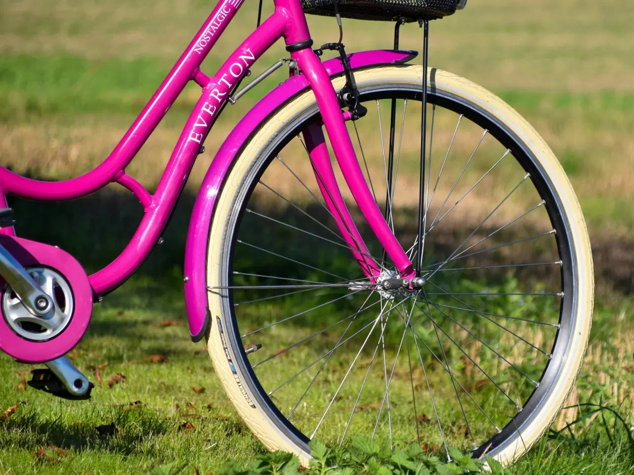 Billede 4 - Everton Nostalgic 7G 47CM