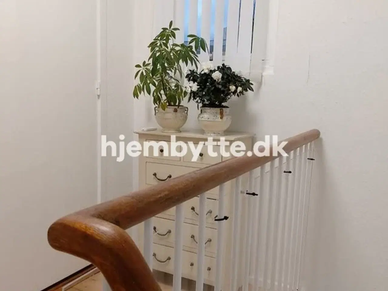 Billede 13 - Hjembytte - Muskathaven