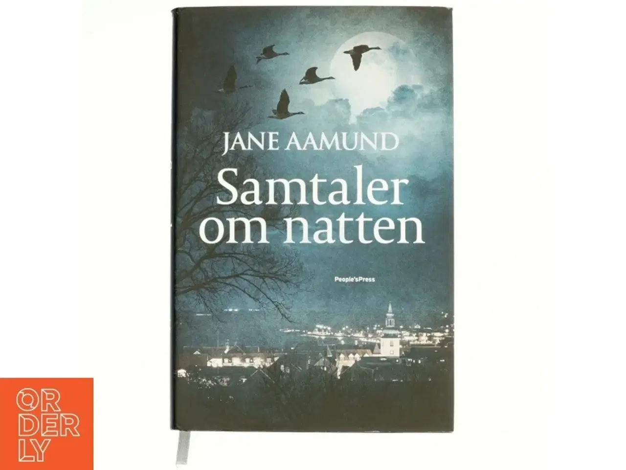 Billede 1 - Samtaler om natten af Jane Aamund (Bog)