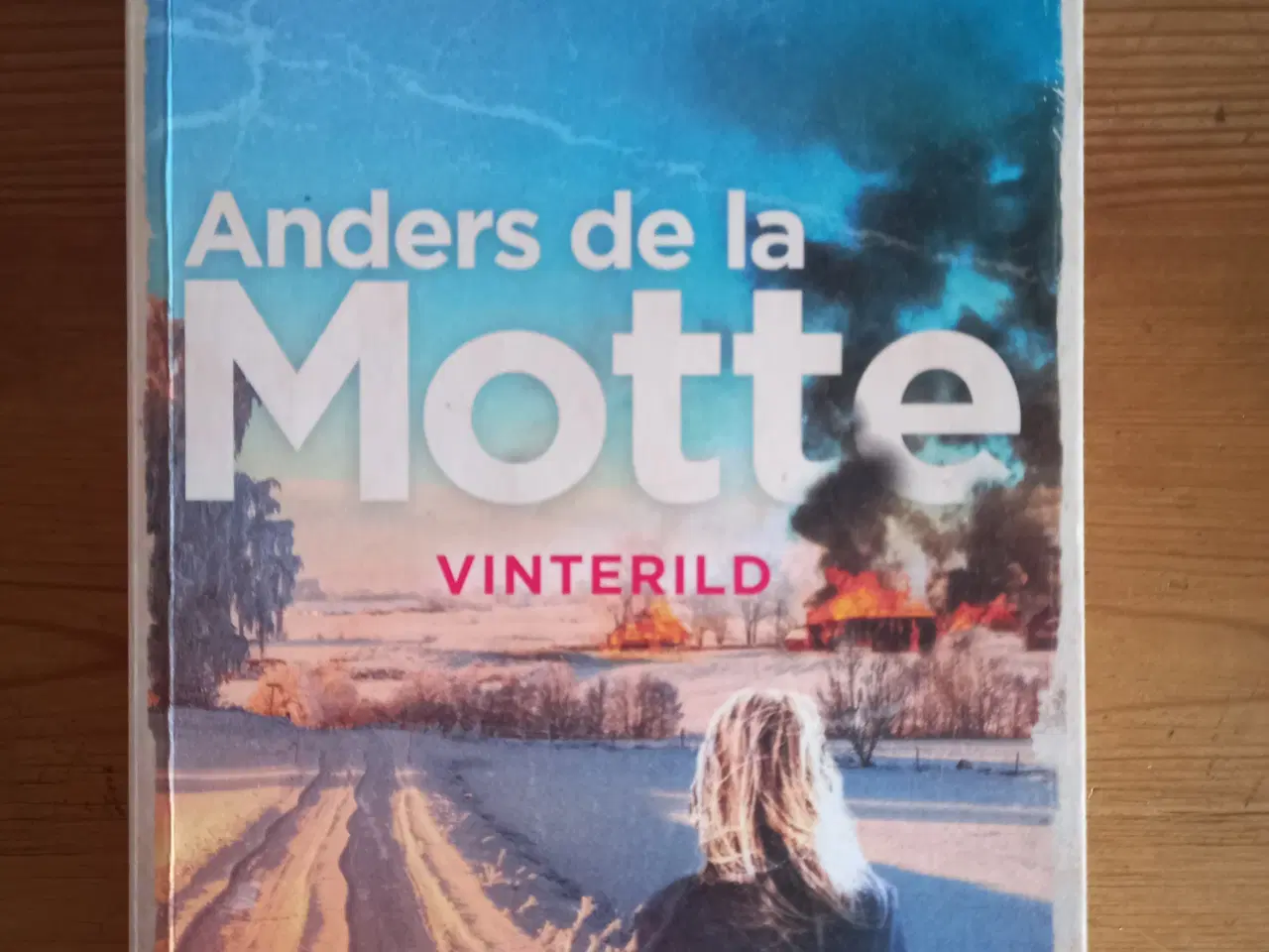 Billede 1 - Vinterild - Ander de la Motte