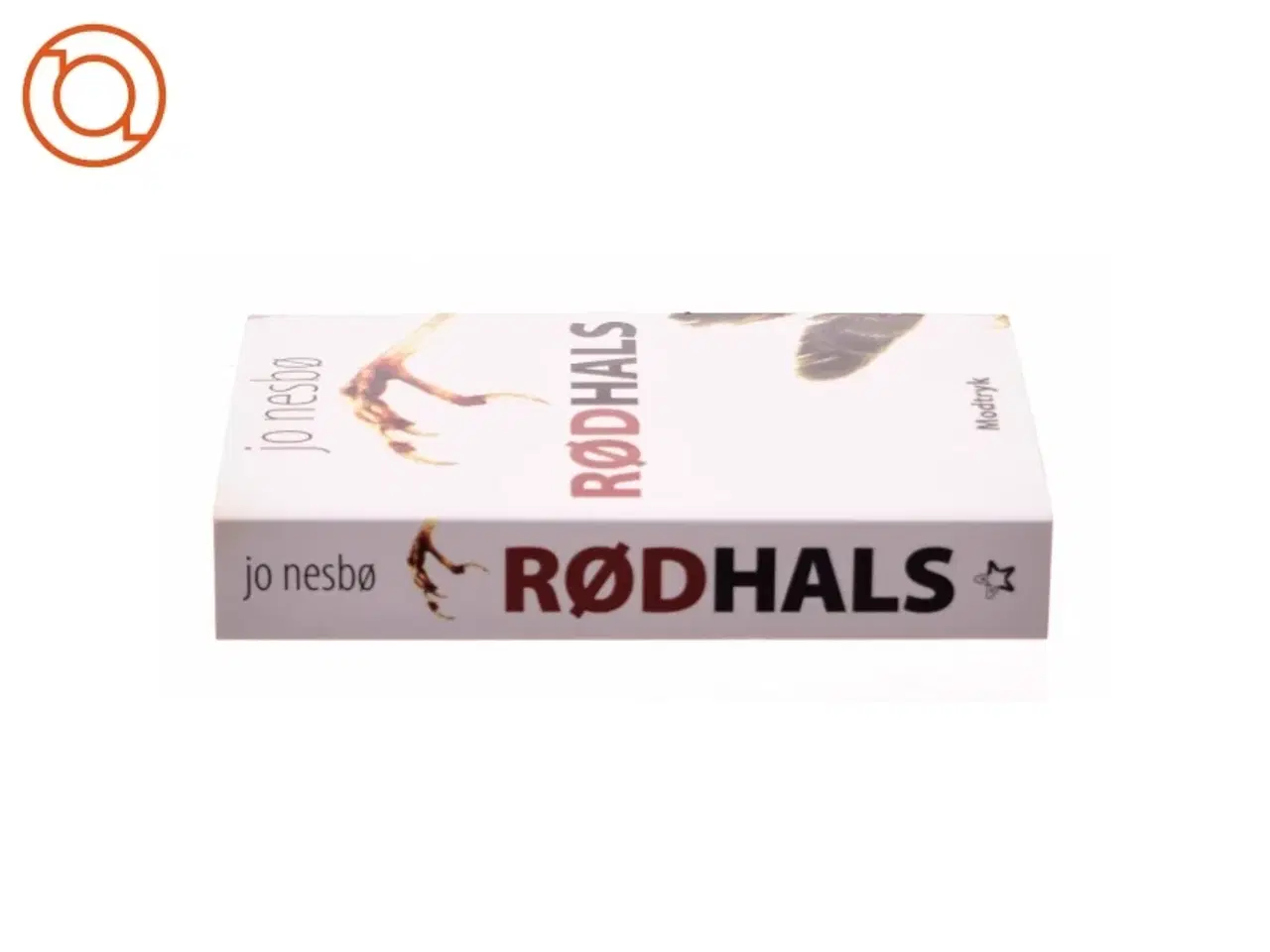 Billede 2 - Rødhals