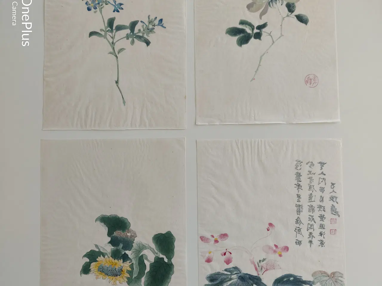Billede 7 - blomster illustrationer, gl. kinesiske