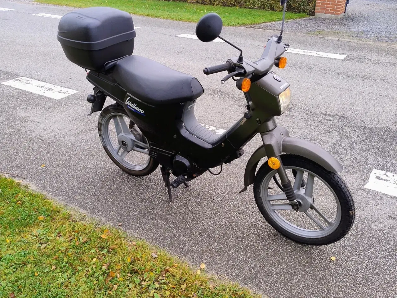 Billede 2 - Honda welleroo 30 knallert 