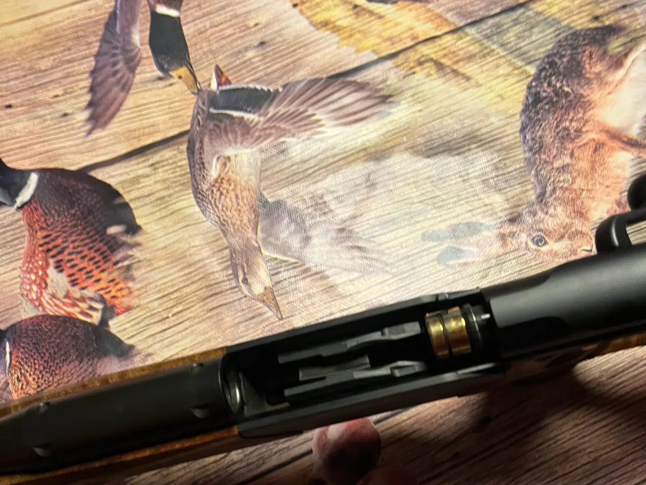 Billede 5 - Blaser R8 