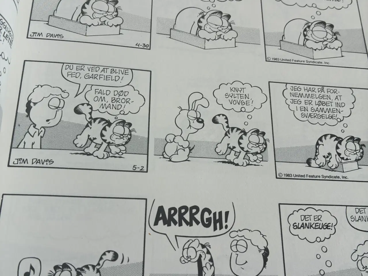 Billede 2 - Garfield  gør det igen Futte