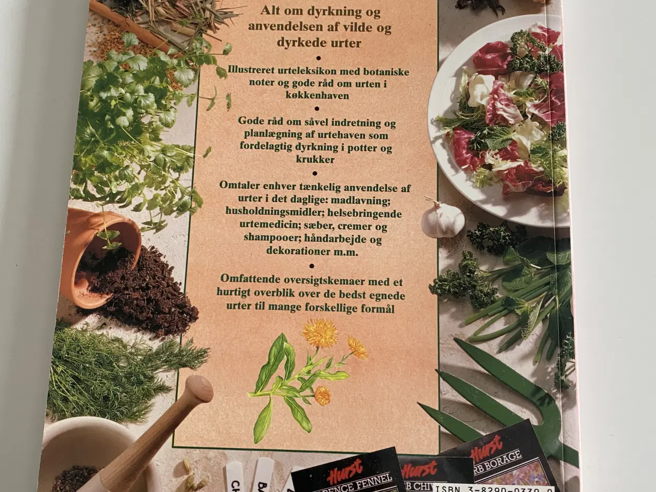 Billede 2 - Bogen om krydderurter