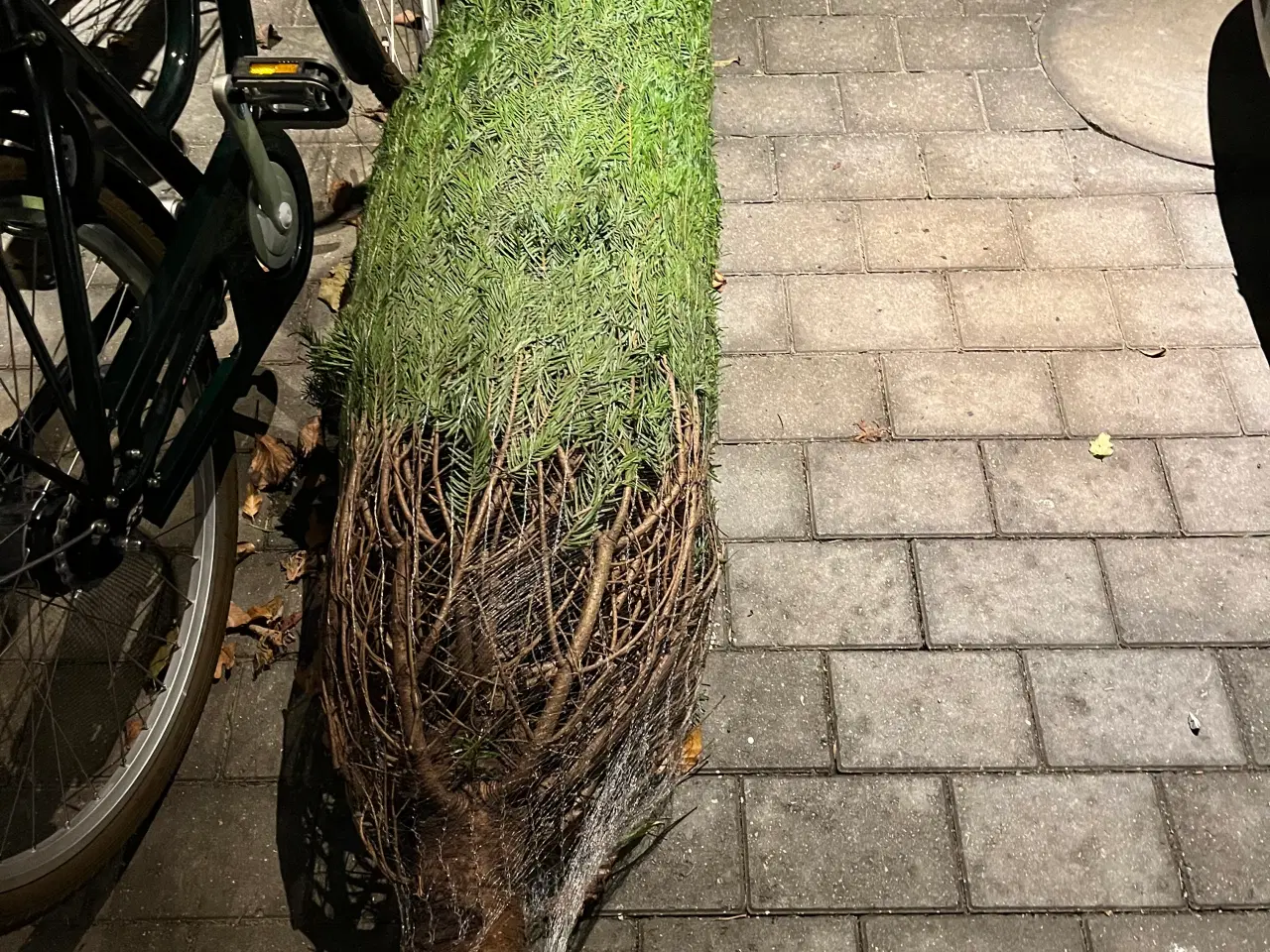 Billede 1 - Juletræ ca. 2.20 meter