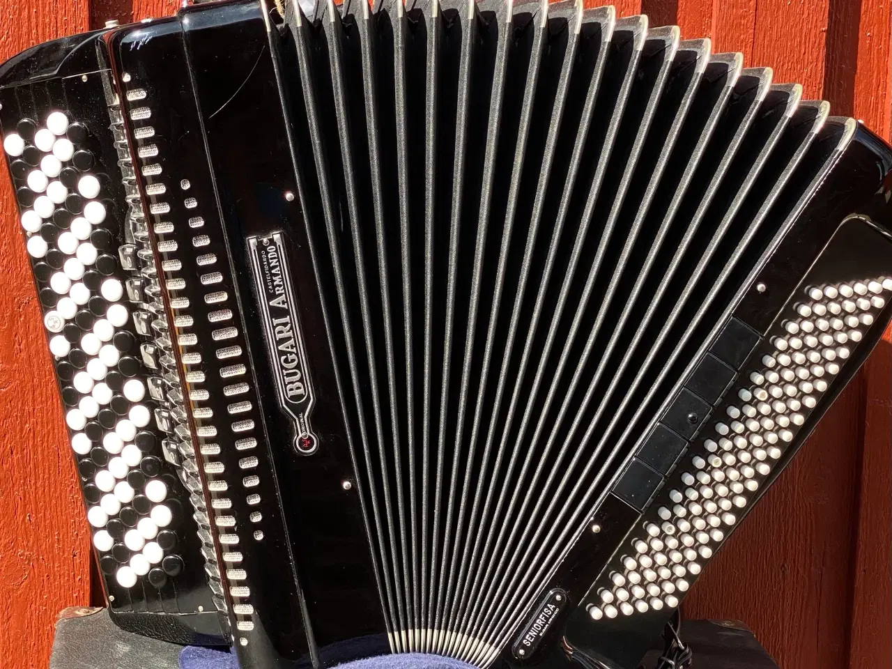 Billede 14 - Bugari Armando Seniorfisa Special – Topklasse knap