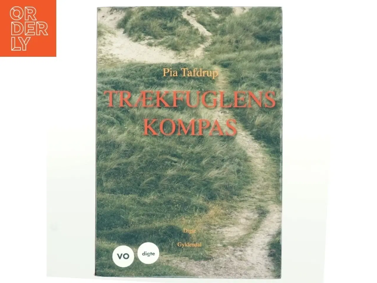 Billede 1 - Trækfuglenes Kompas af Pia Tafdrup