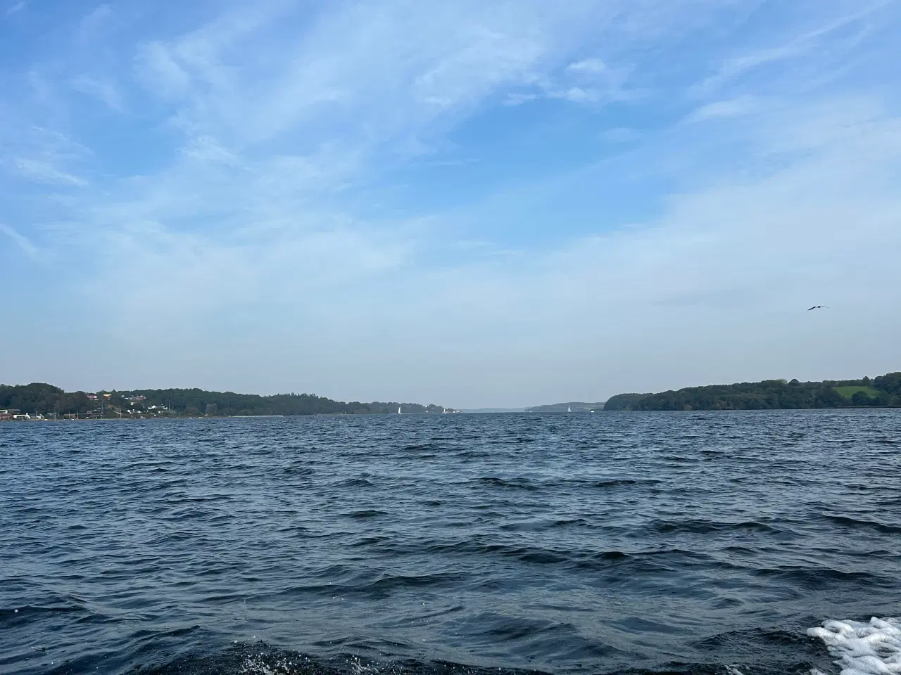 Billede 7 - Terhi 410R 