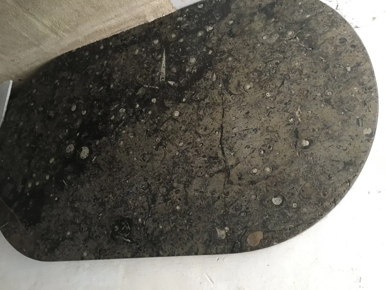 Billede 8 - Atlantic ægte fossile Sten - Bord  helt unik.