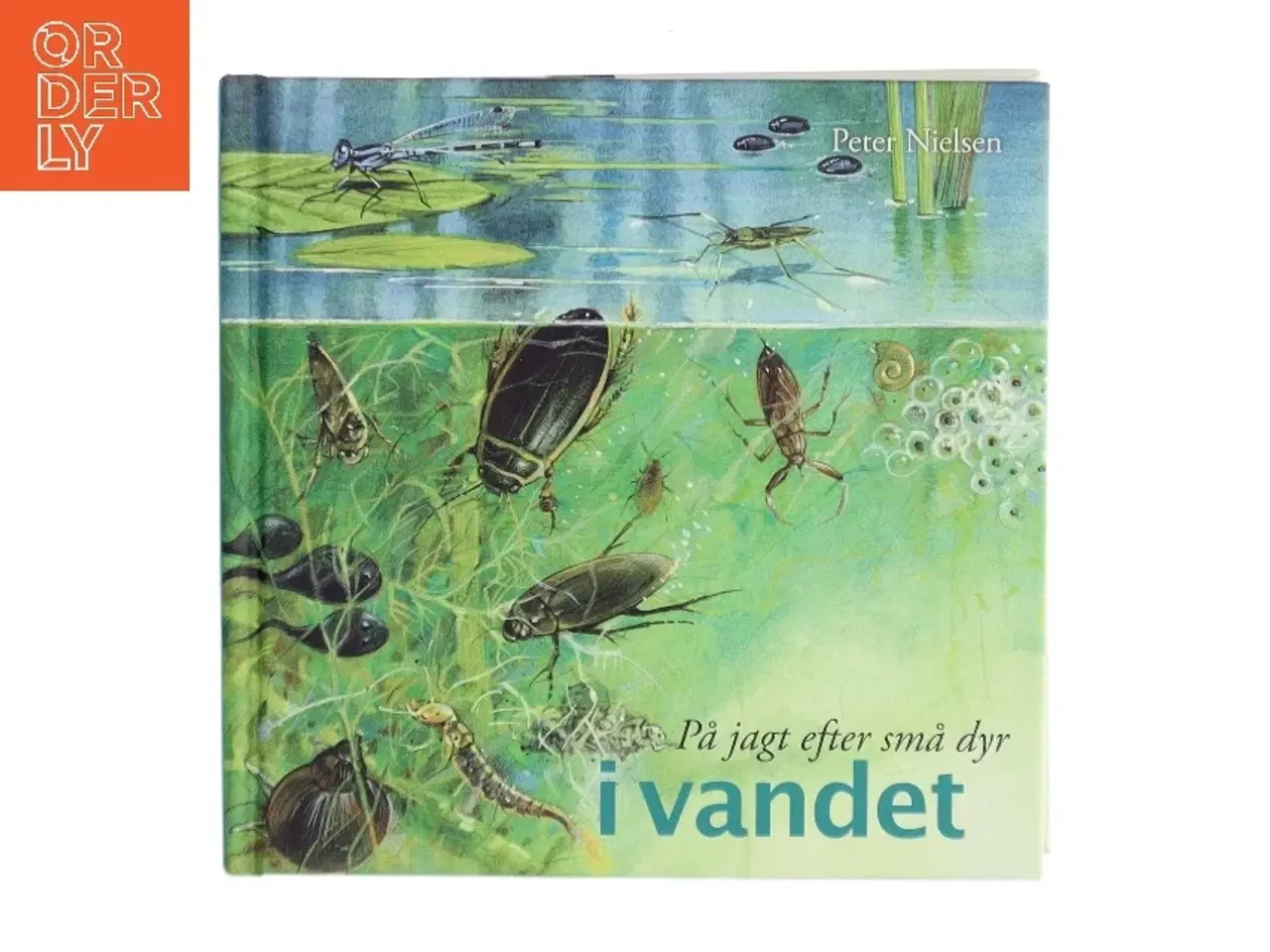 Billede 1 - På jagt efter små dyr i vandet af Peter Nielsen (Bog)