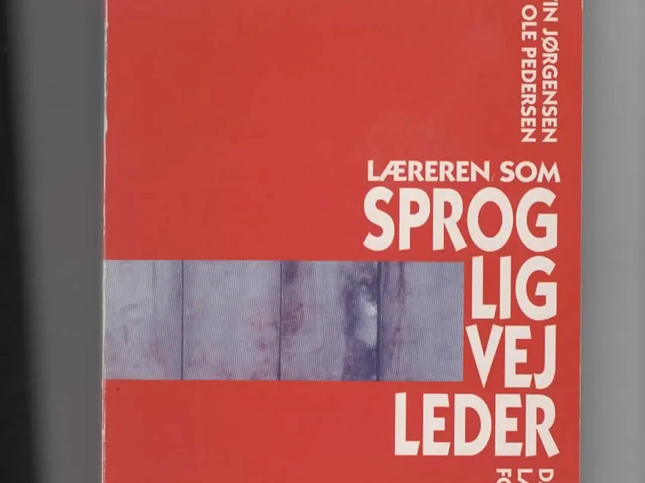 Billede 1 - dansk/sprogvejleder