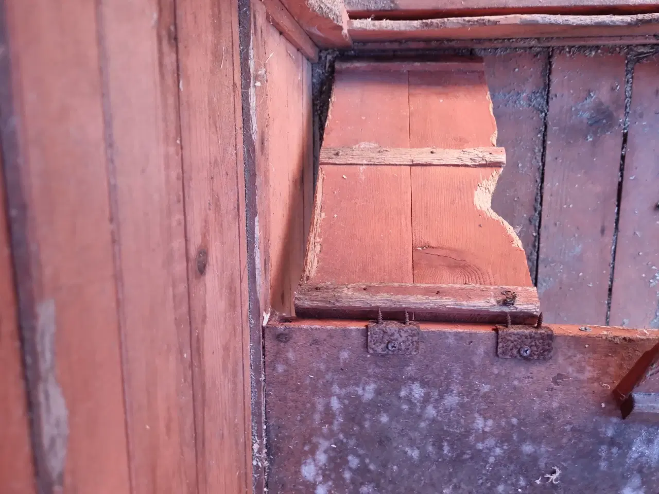 Billede 3 - Brugt Kaninbur