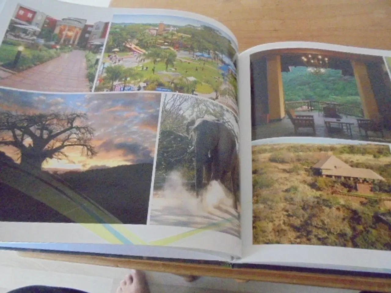 Billede 7 - Forever Living Products – Aloe Vera 2015