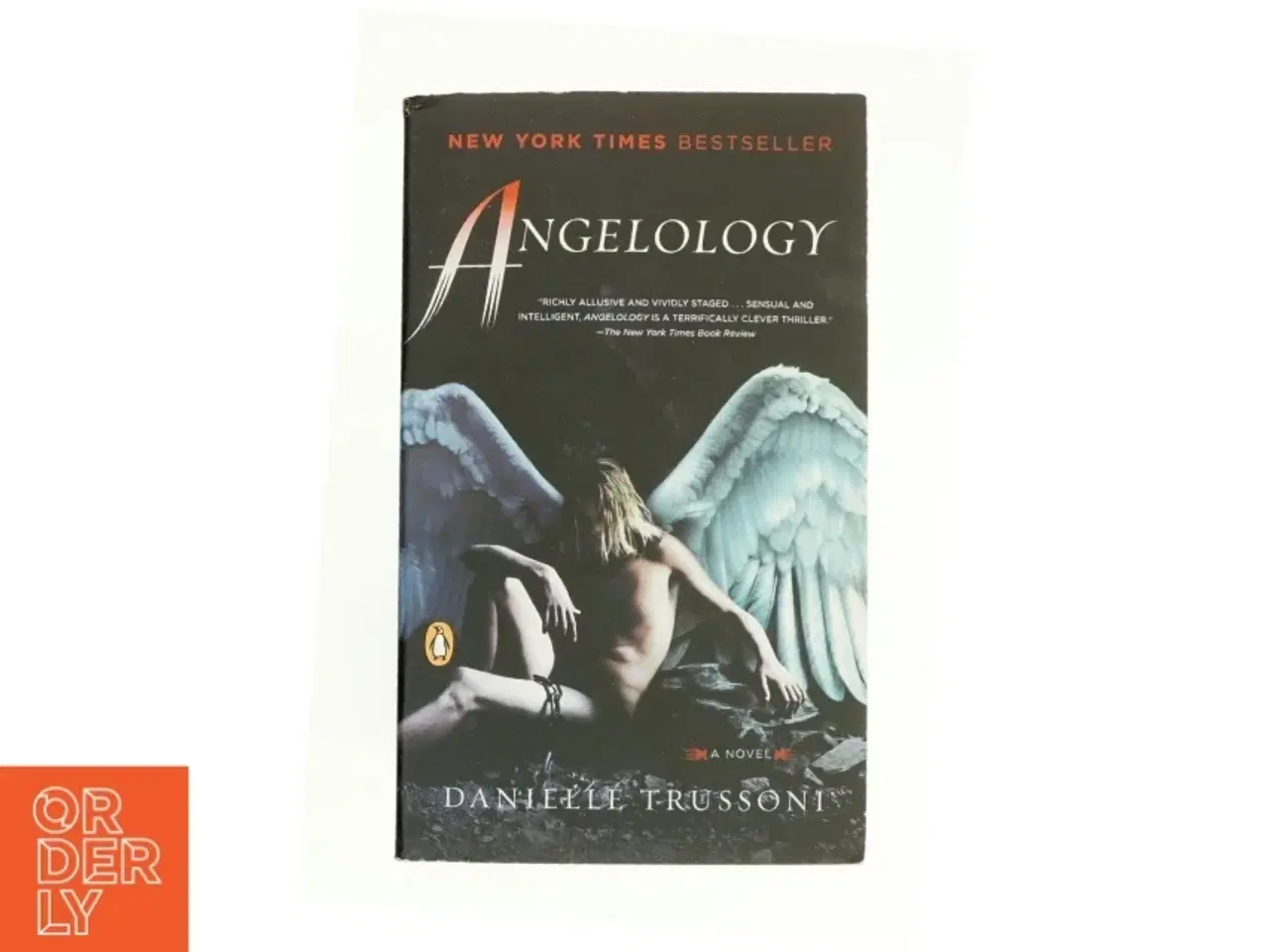 Billede 1 - Angelology af Danielle Trussoni (Bog)
