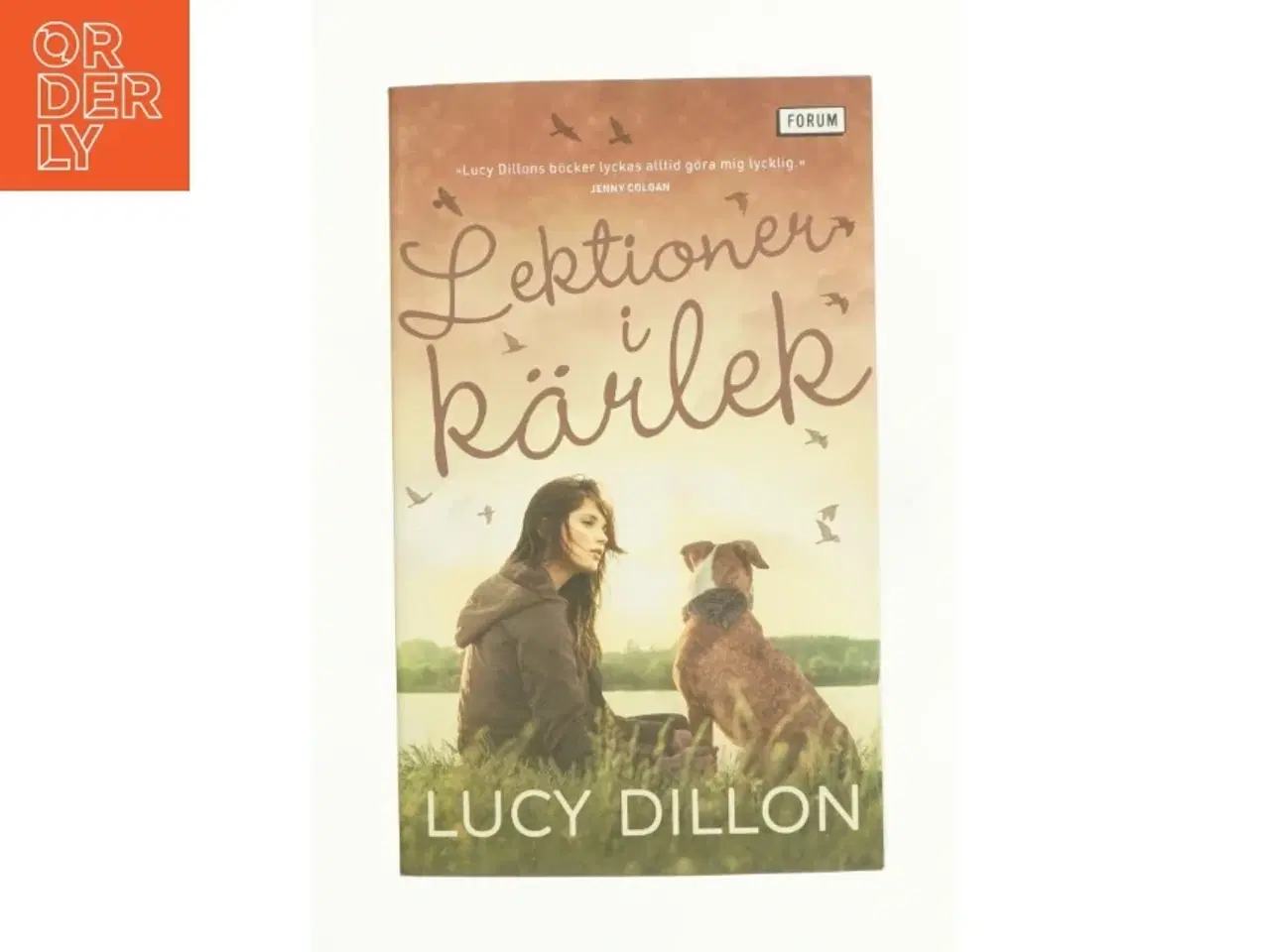 Billede 1 - Lektionen i k&#228;rlek af Lucy Dillon (bog)