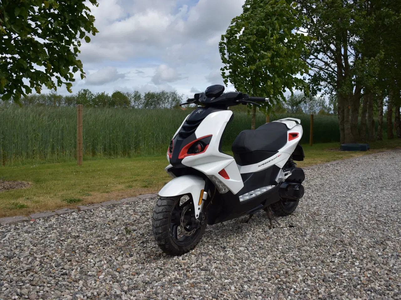 Billede 2 - PEUGEOT SPEEDFIGHT 3