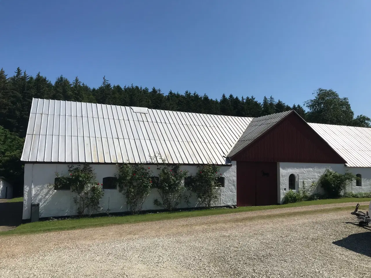 Billede 2 - 2 boliger v. skov, fjord og Glyngøre. 
