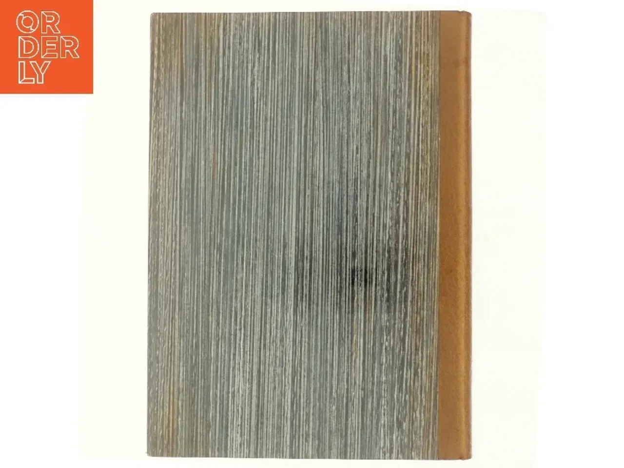 Billede 3 - Den indviede vender tilbage