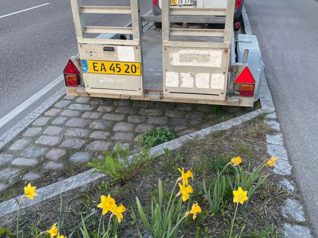 Billede 2 - Ifor Williams trailer 2000 KG
