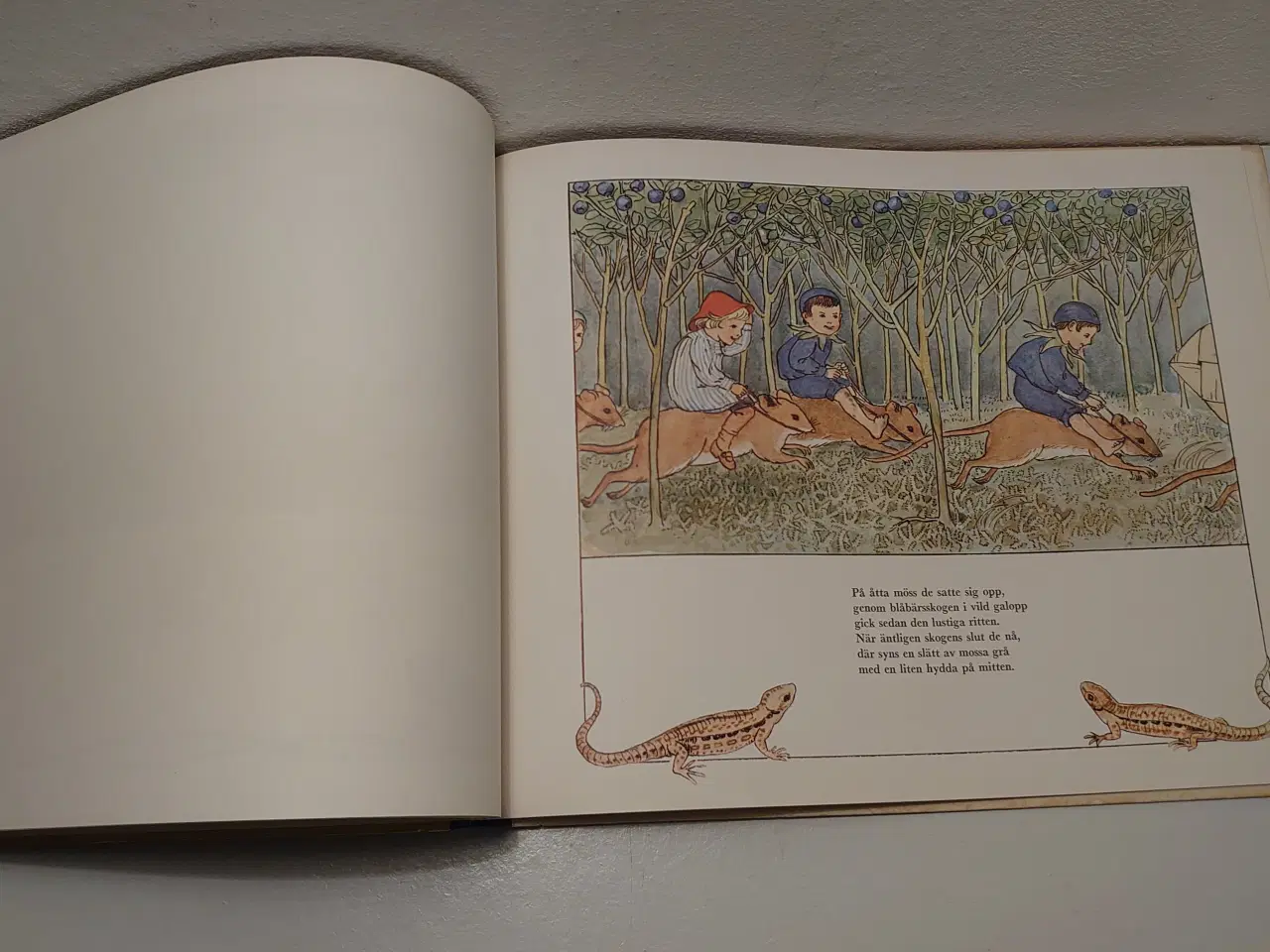Billede 3 - Elsa Beskow:Puttes eventyr i Blåbärskogen.Udg.1972