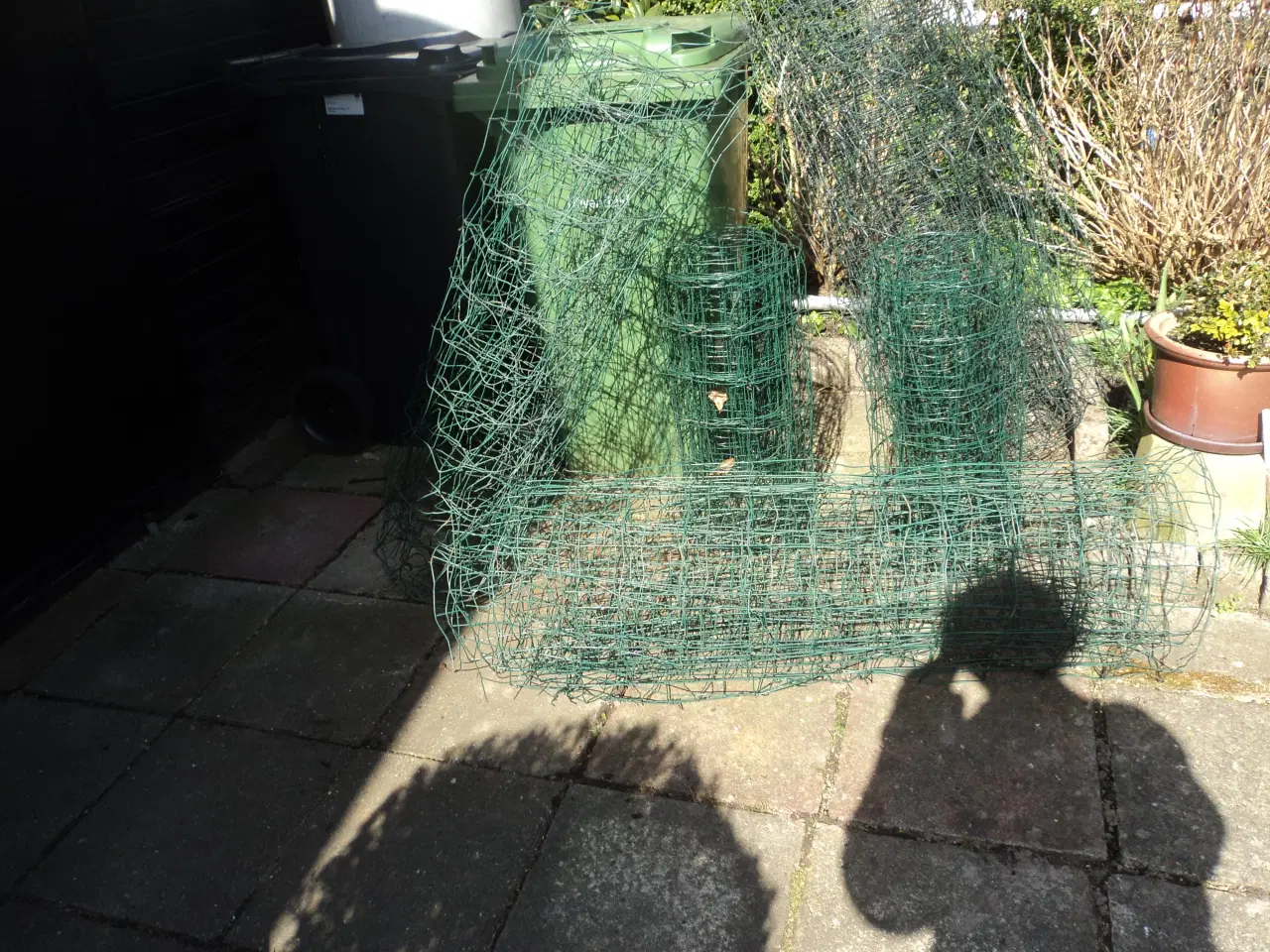 Billede 3 - Grøn havetråd