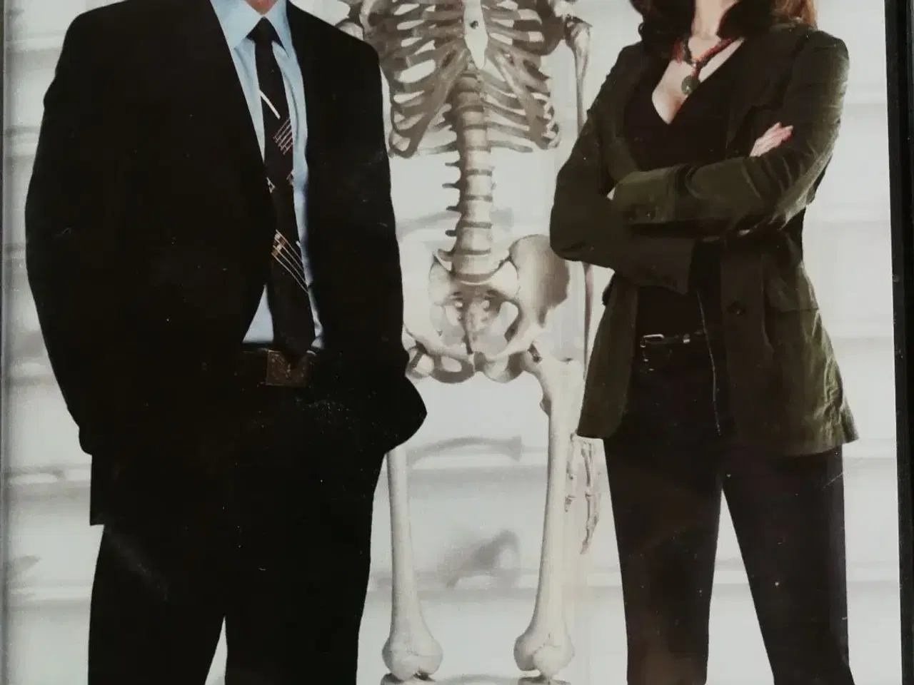 Billede 1 - Bones sæson 1 til 10
