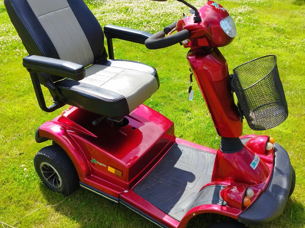 Billede 4 - Scooter Pegasus 