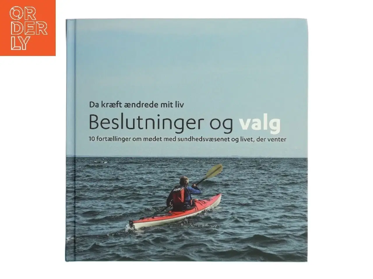 Billede 1 - Beslutninger og valg (Bog)